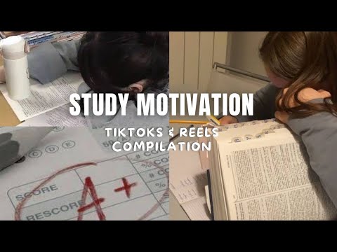 Study Motivation рџ љ Study Motivation Tiktoks Reels Compilation