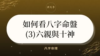 如何看八字命盤(3)六親與十神 - 八字命理