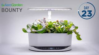 AeroGarden Bounty Heirloom Salad Greens Timelapse