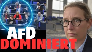 Vor 2 Stunden: Alice Weidel mit der Besten Rede ihres Lebens! (Bundestag geschockt)