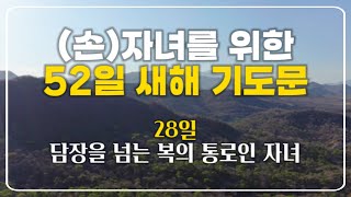 (손)자녀를 위한 새해 기도문 - 28일 담장을 넘는 복의 통로인 자녀