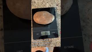 Weight Loss Tip Get A Food Scale Shorts