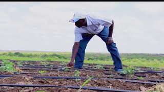 Kenya Red Cross Disaster Risk Reduction \u0026 Management Highlight Video