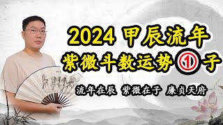 2024甲辰年流年紫微斗数运势，地支辰，紫微在子，廉贞天府