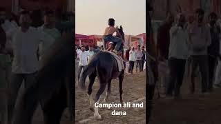 Hanumangarh horse fair 2022 | ALI | DANA |