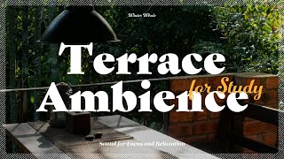 Cozy Terrace Ambience | Sounds for Study, Focus