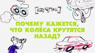 Научпок - Почему кажется, что колёса крутятся назад