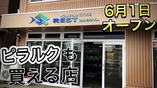 【ショップ訪問】新店舗AQUARIUM STORE REST 名古屋店（アクアリウム ストア レスト） #52