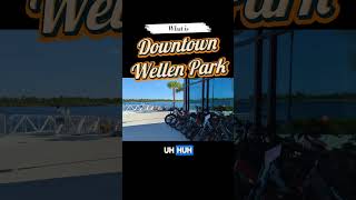 Discover the Fun Activities in Downtown Wellen Park