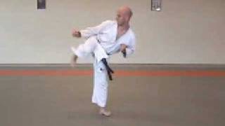 ushiro geri