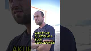 PS. Koho voliť?