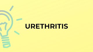 What is the meaning of the word URETHRITIS?