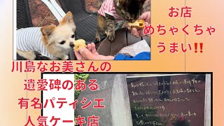 【散歩する猫】人気パティシエの鎧塚俊彦さんのお店へ‼️愛のあるお店❤️一夜城鎧塚ファームでケーキを食べる😆#小田原#人気#グルメ