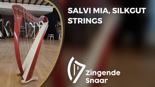 Salvi Mia, silkgut strings