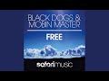 Free (Radio Mix)