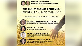 Senator Becker Town Hall - The Gun Violence Epidemic: What Can California Do?