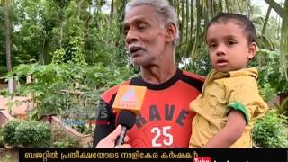 ബജറ്റില്‍ പ്രതീക്ഷയര്‍പ്പിച്ച് നാളികേര കര്‍ഷകര്‍