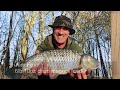 winter chub fishing tips with rdaa