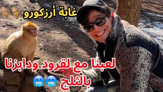 دوزنا نهار زوين ف إيفران وموزار وغابة أرزكورو..ياسلاااام 🤩