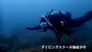 海の中ってどんなの？シリーズ４　四国徳島の熱帯魚と魚の群れ