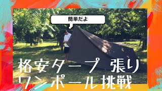 【タープ 設営】初心者でも簡単！不器用おじさんのタープ 張りワンポール