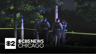 Car crashes blocks away from deadly shooting in Chicago, police say
