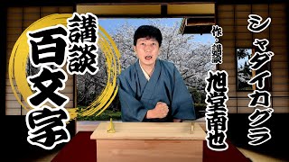 【競馬講談百文字】シャダイカグラ／作・講談　旭堂南也／講談百文字／谷四座