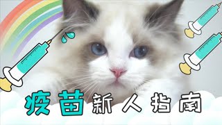 这几种情况下绝对不可以给猫打疫苗！猫咪疫苗必修课