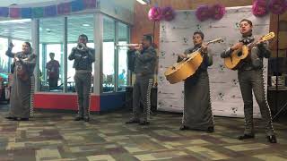 Baby shark mariachi version! ENDING