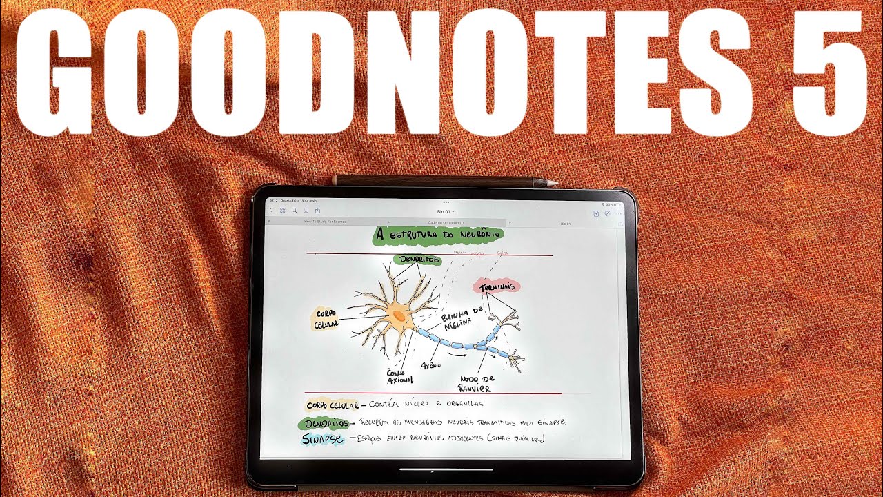 Goodnotes 5 Review Completo Youtube