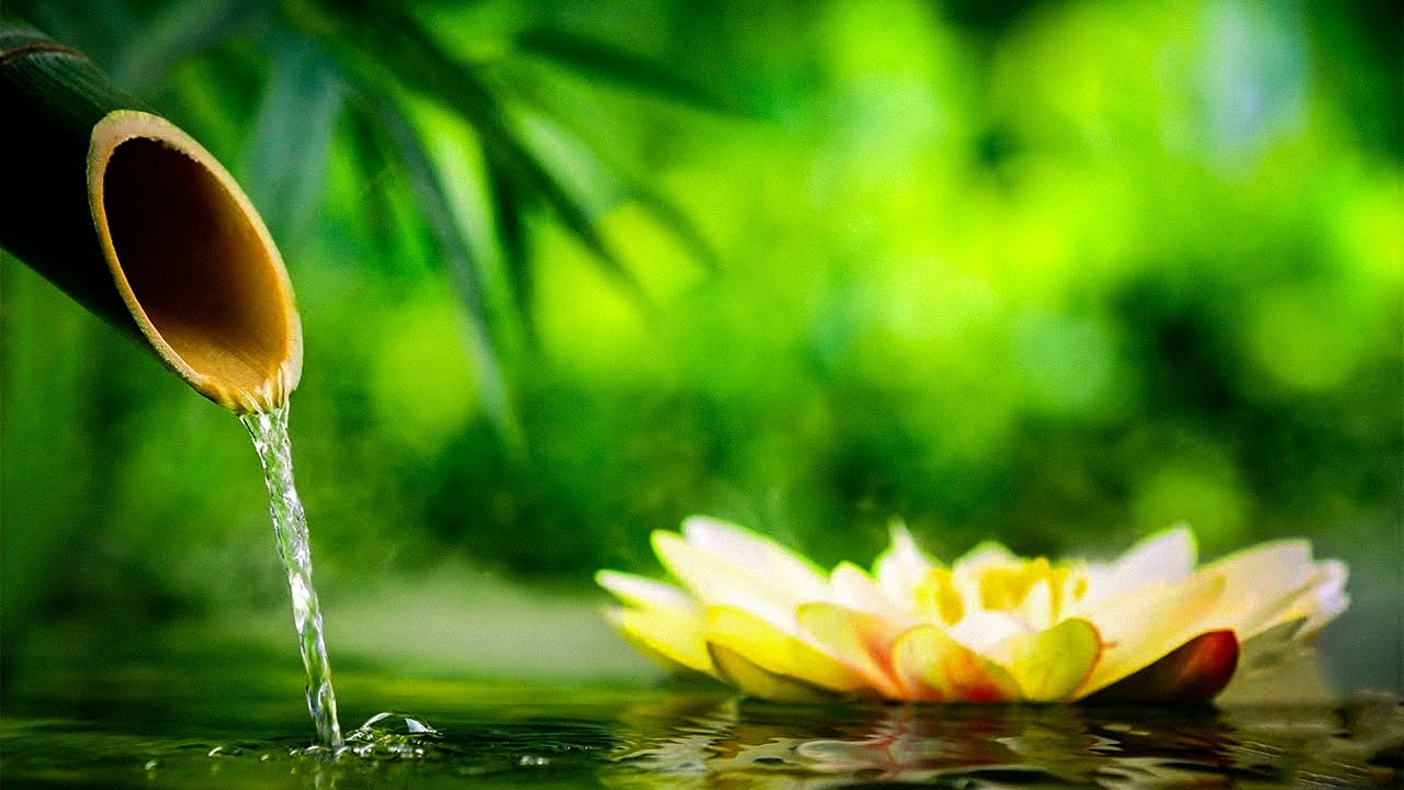 No Ads Relaxing Deep Sleep Music Relaxing Music Nature Sounds