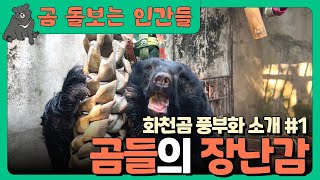 [곰 돌보는 인간들 ep.04] 곰들의 장난감 ::: 행동 풍부화 l 동물 복지 l 풍부화 장난감 l 사육곰 보호시설 l 동물 돌봄 l 곰보금자리프로젝트