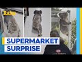 Cute koala makes a surprise visit to regional IGA store | Today Show Australia