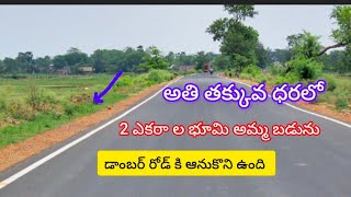 🌿 తక్కువ ధరలో రోడ్ కి ఆనుకొని భూమి అమ్మ కానీ కి/LOW cost agriculture land choice#property telangana