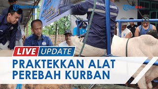 Penampakan Alat Perebah Hewan Kurban Rp 20 Juta Karya Mahasiswa Politeknik Manado, Ini Keunggulannya