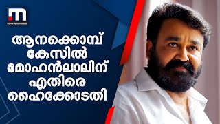 ആനക്കൊമ്പ് കേസിൽ മോഹൻലാലിനെതിരേ ഹൈക്കോടതി | Mathrubhumi News