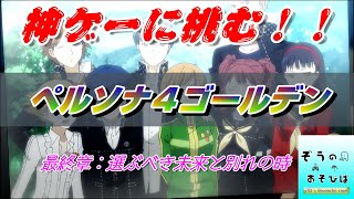 神ゲーに挑む！！【ペルソナ４G】最終章：選ぶべき未来と別れの時〔ぞうのあそびば〕