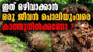 ഇത് ഒഴിവാക്കാൻ ഒരു ജീവൻ പൊലിയും വരെ കാത്തുനിൽക്കണോ ? | Malayalam Latest News |