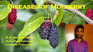 Diseases of Mulberry | Cash Crops | Plant Pathology | Exam Oriented - NET 2021