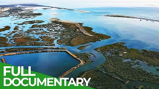 Wild Portugal: Ria Formosa - A Natural Wonder | Free Documentary Nature