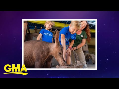 Disney And Make A Wish Foundation Celebrate The Power Of Wishes The