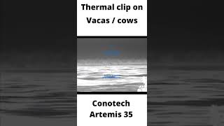 Conotech Artemis 35 thermal clip on 2500 metros alcance