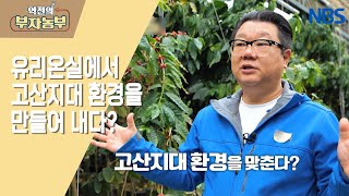 [국내에서 커피 농장 운영으로 연 매출 10억!!] 유리온실이 바로 고산지대???