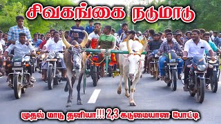 நடுமாடு-சிவகங்கை-பந்தயம்_14-07-2023