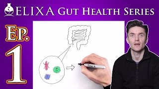 Episode 1 - Elixa Gut Health Video Series