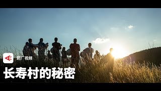 【时代当下】真有莫斯利安这地方？一个被中国奇妙影响着的“长寿村”丨箭厂Arrowfactory Doc