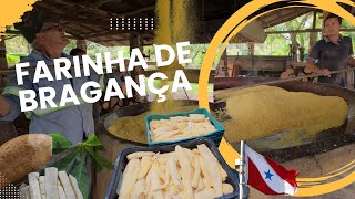 Farinha de Bragança: O Sabor Autêntico do Pará