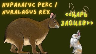 Нуралагус Рекс | Заяц-Гигант | Вымершие животные