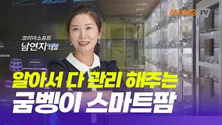 굼벵이 키우기의 혁신! 스마트팜으로 식용곤충 최초 NET 인증, 코리아소프트가 해냈다!