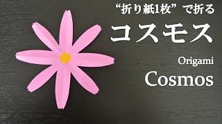 【折り紙1枚】簡単！可愛い切り絵の花『コスモス』の折り方 How to fold a cosmos with origami.Easy!【Flower】